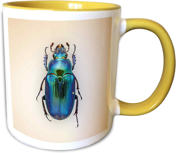 Sapphire Jewel Beetle Vintage Scientific Ceramic Mug