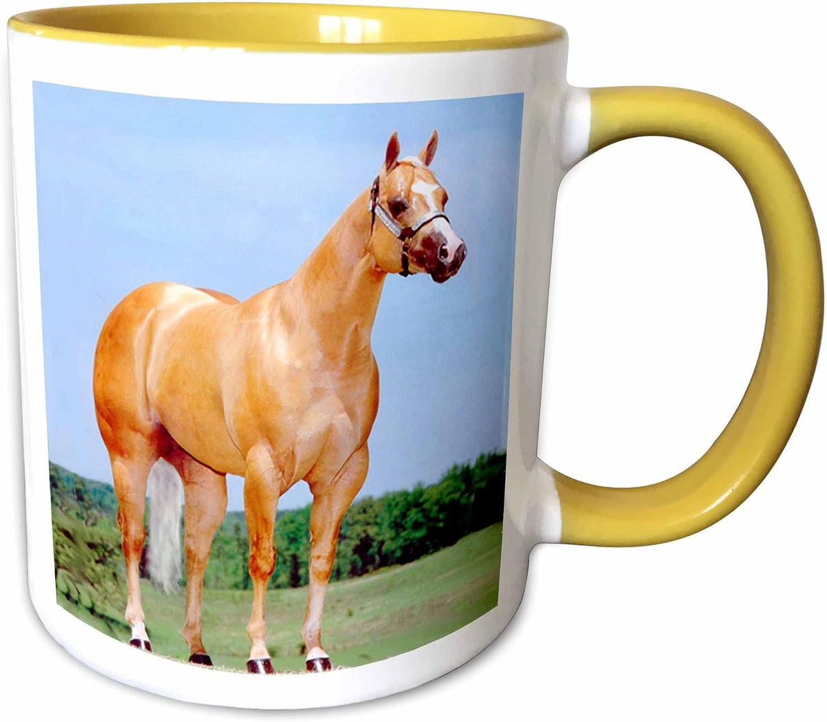 Palomino Quarter Horse Ceramic Mug