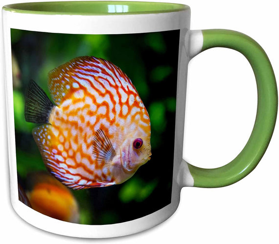 Colorful Discus Fish Swimming Ceramic Mug