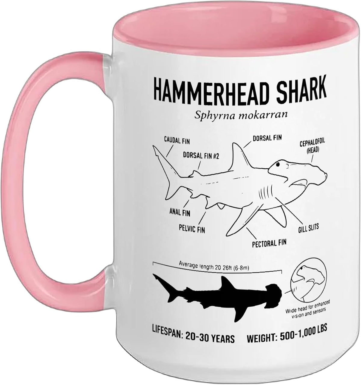 Hammerhead Shark Anatomy Ceramic Mug