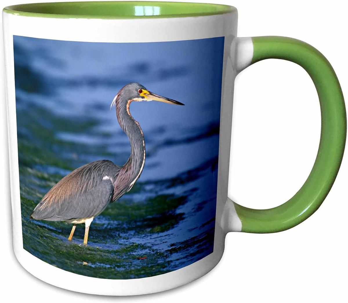 Florida, Tri-Colored Heron Bird Ding Ceramic Mug