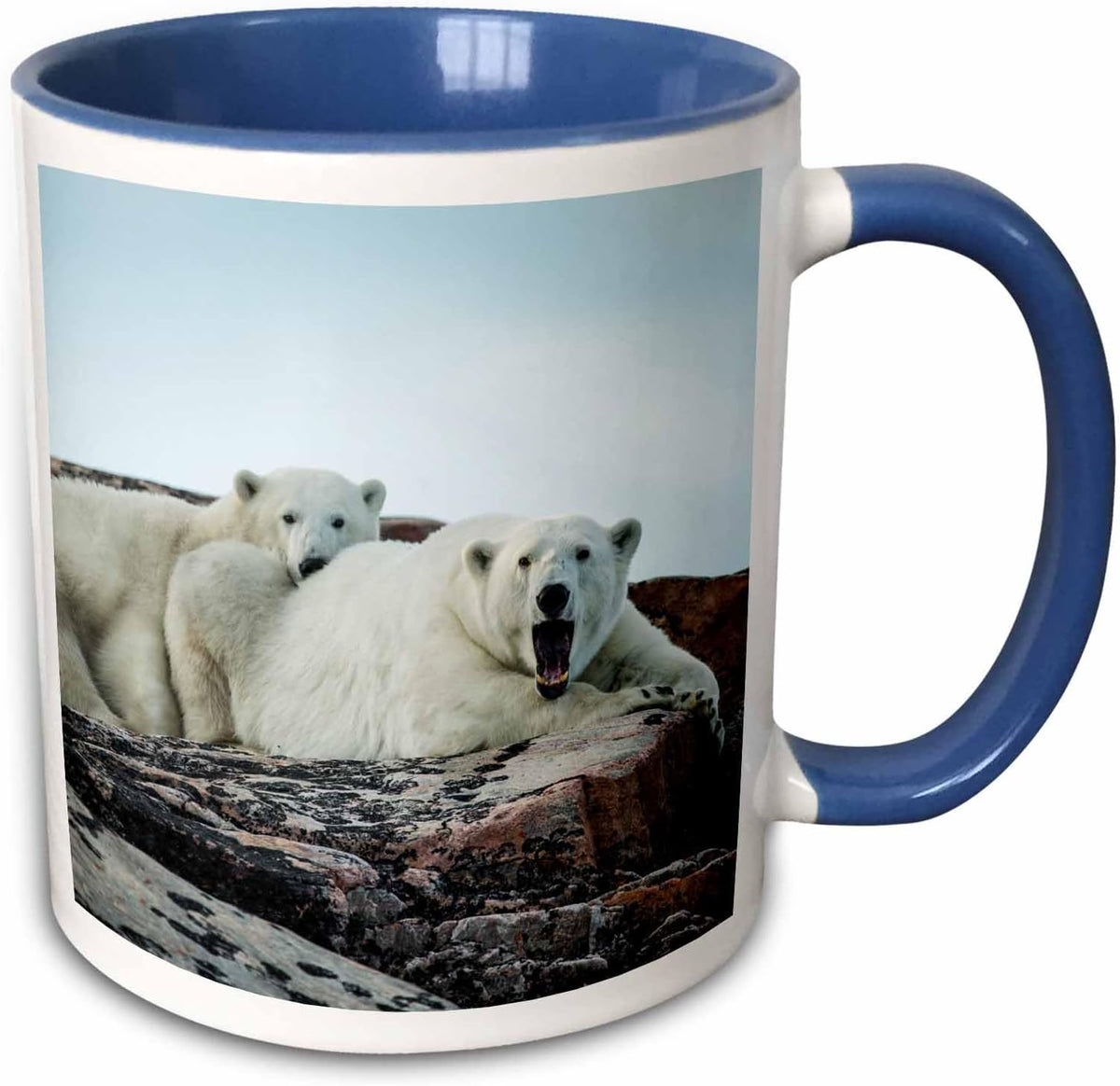 Canada, Polar Bear And Cub Resting Ceramic Mug