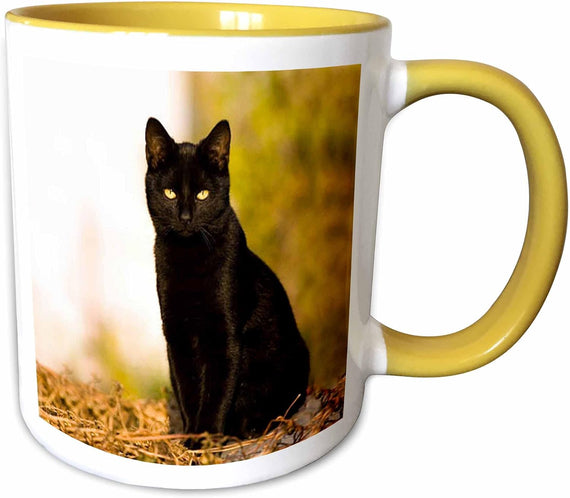 Black Cat Ceramic Mug
