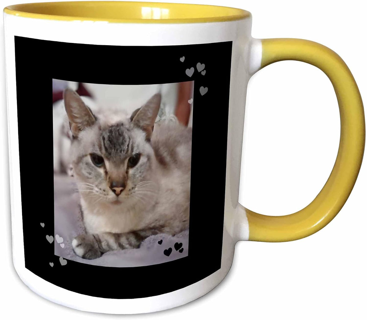 Cute Grey & White Tabby Cat Lovers Closeup Ceramic Mug