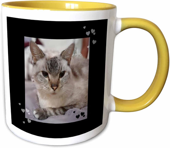 Cute Grey & White Tabby Cat Lovers Closeup Ceramic Mug