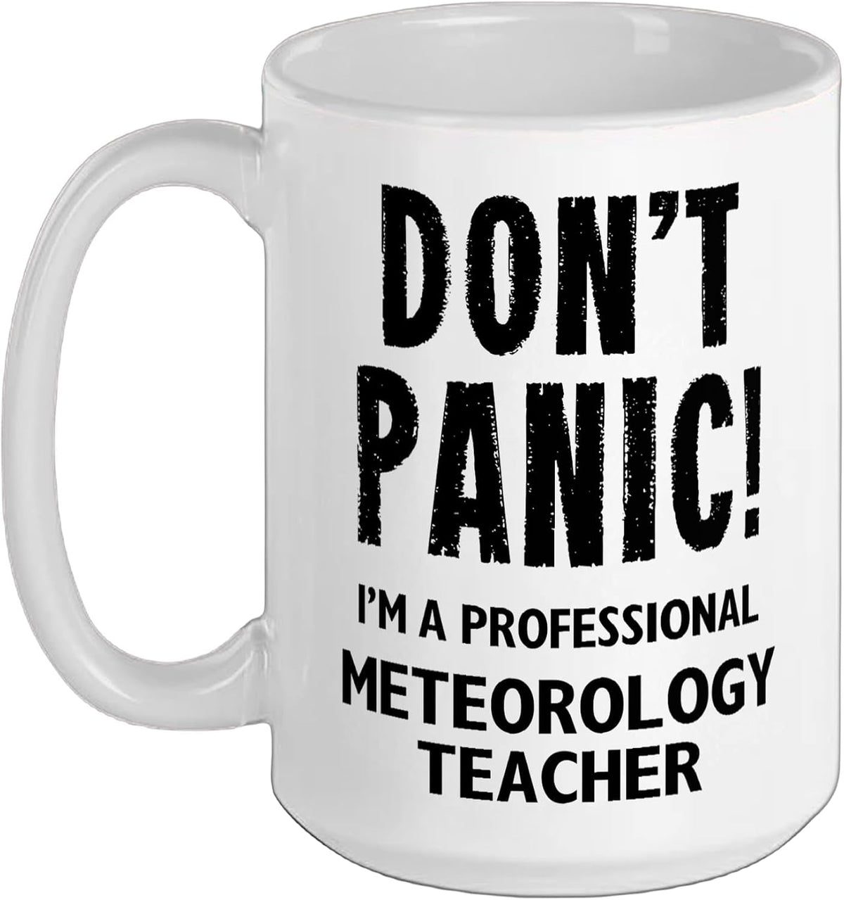 Meteorology Teacher Ceramic Mug