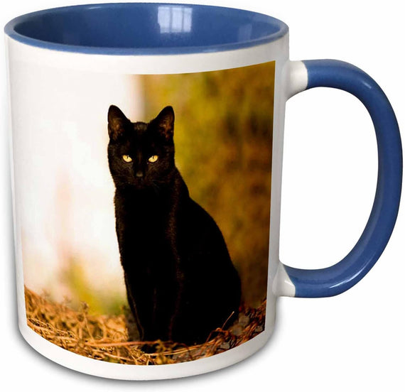 Black Cat Ceramic Mug