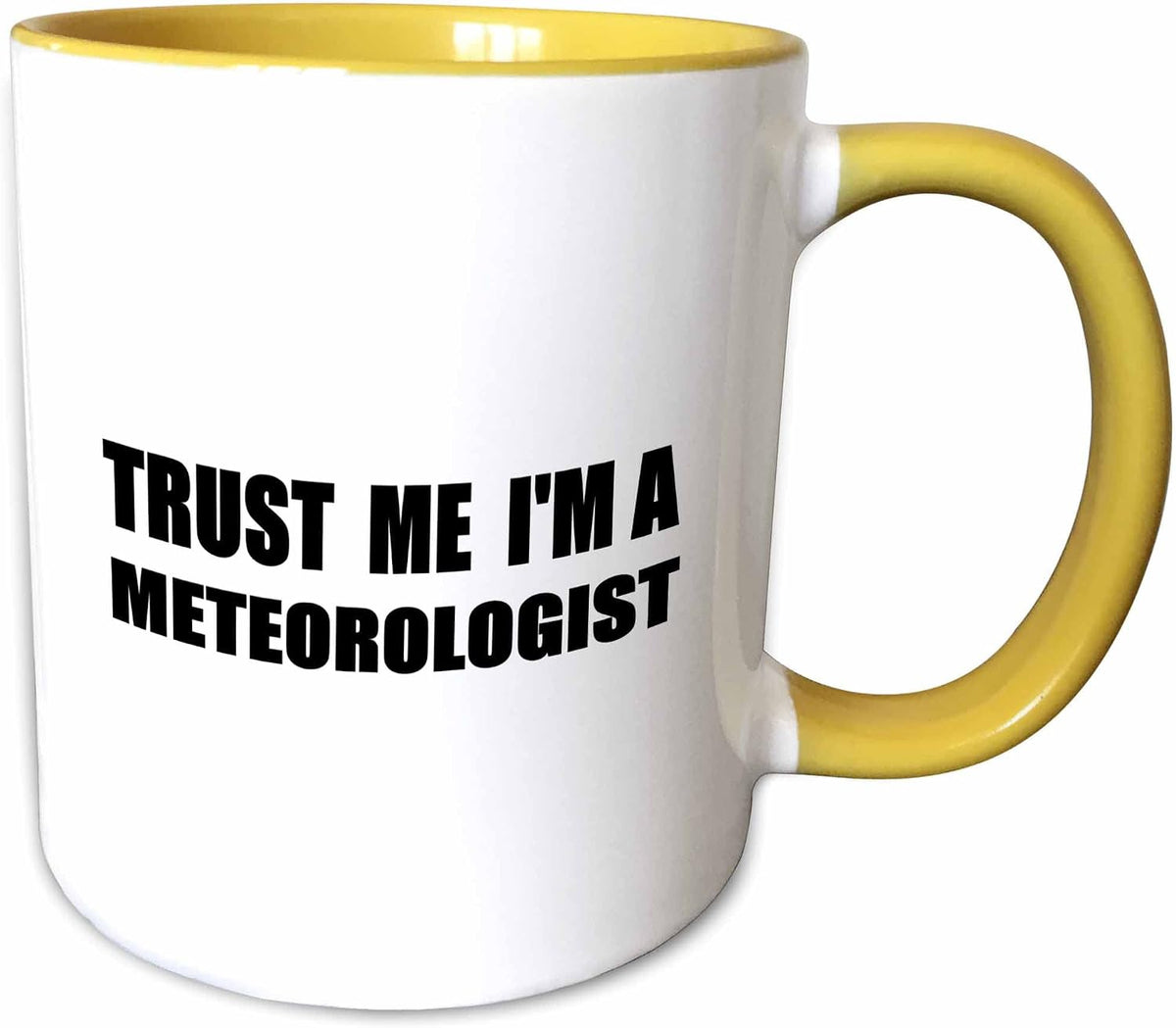 Trust Me Im A Meteorologist Funny Work Ceramic Mug