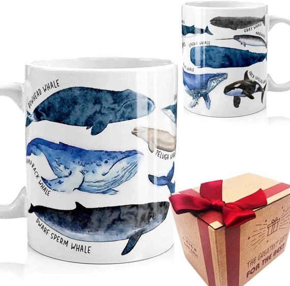 Whale Species Watercolor Chart Ocean Animal Ceramic Mug