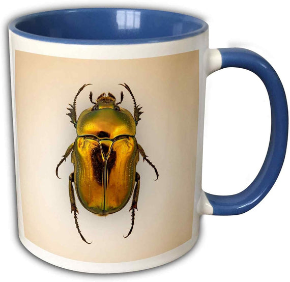 Golden Tortoise Beetle Vintage Scientific Art Ceramic Mug