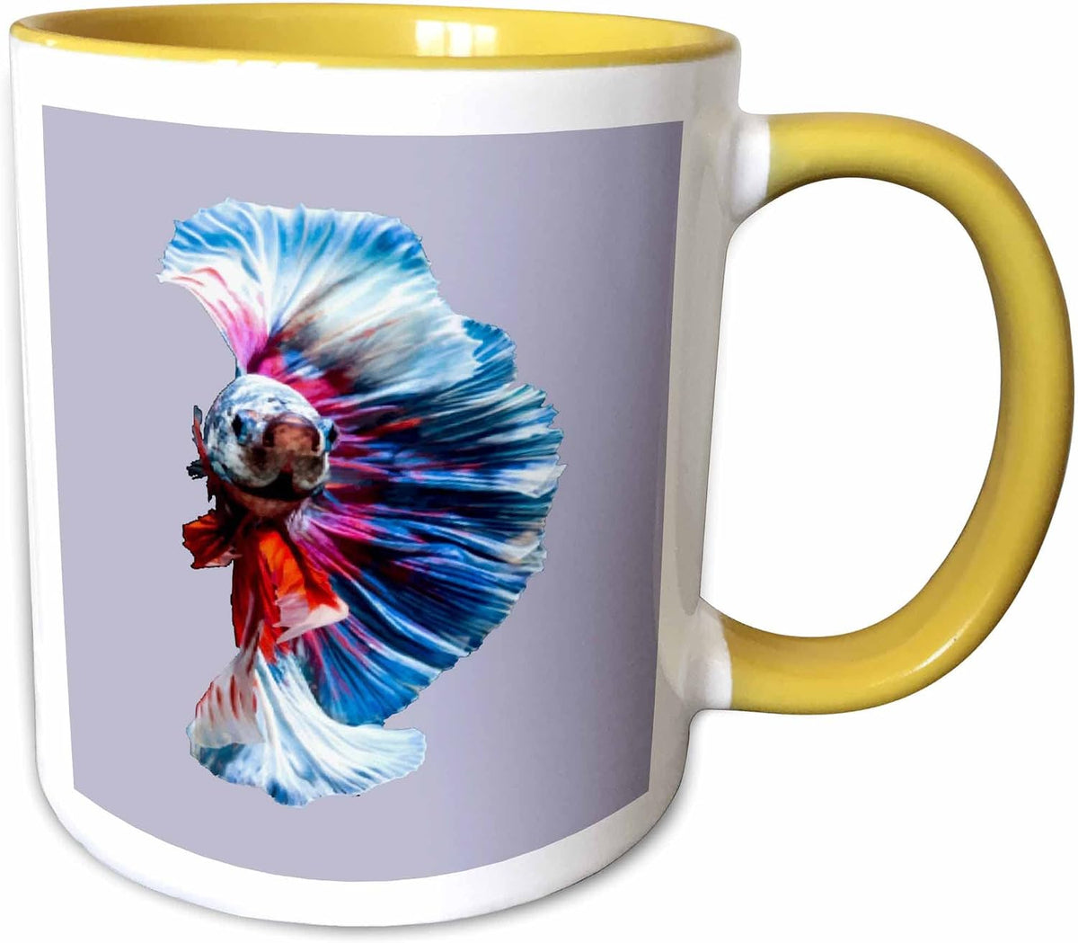 Magnificent Betta Splendens Aquarium Fish Ceramic Mug