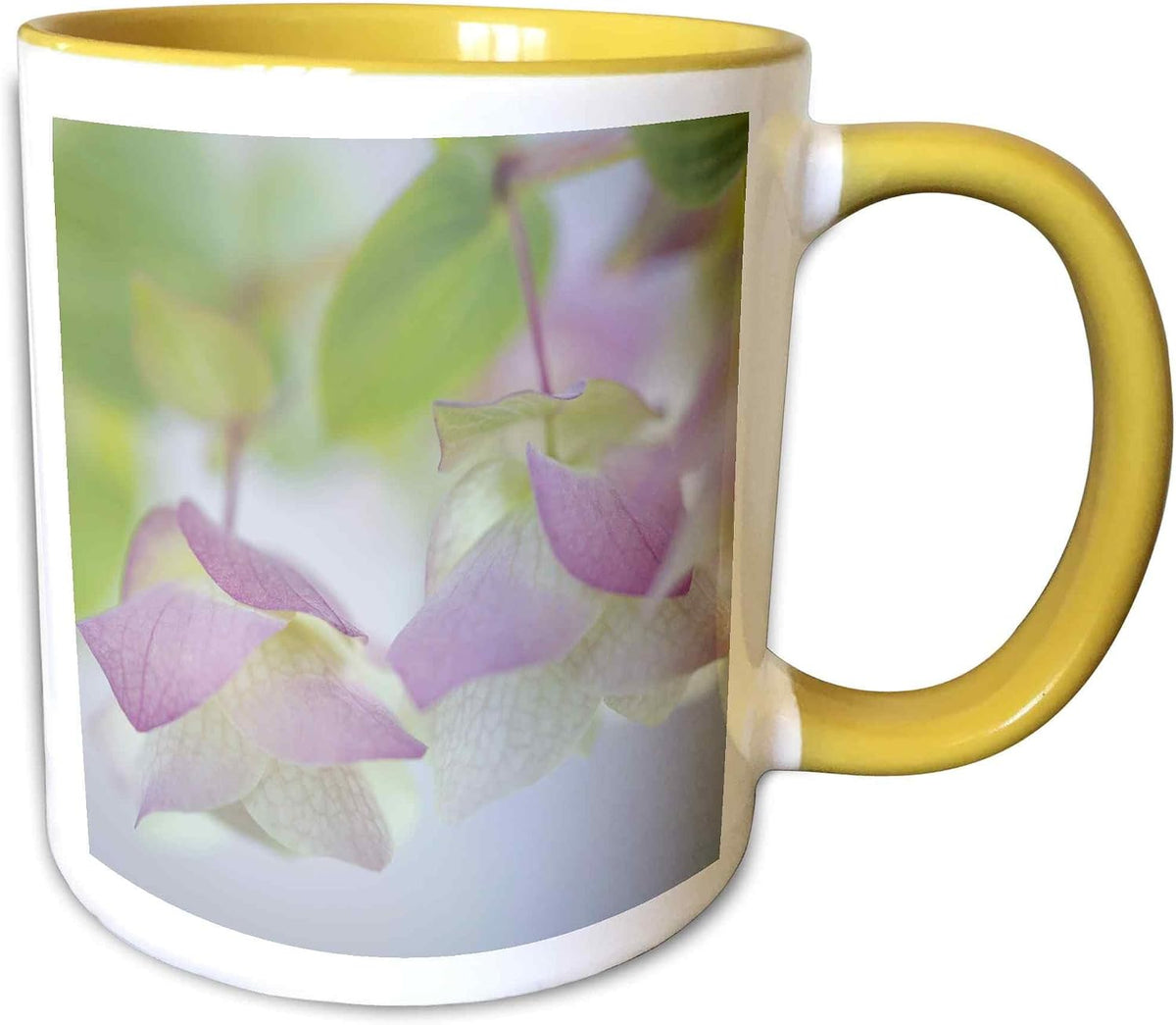 Olympic National Park Ceramic Mug