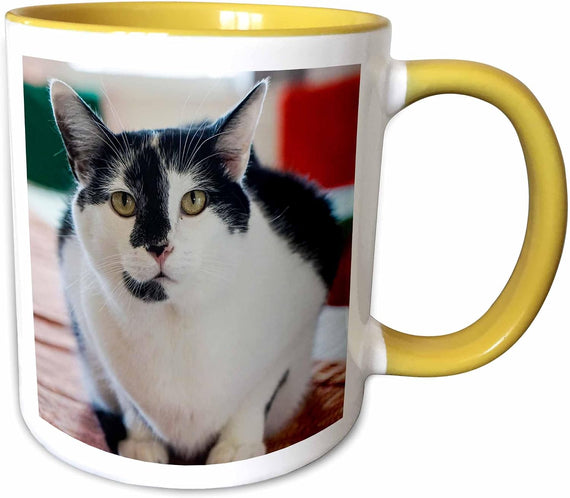 Black And White Cat Ceramic Mug