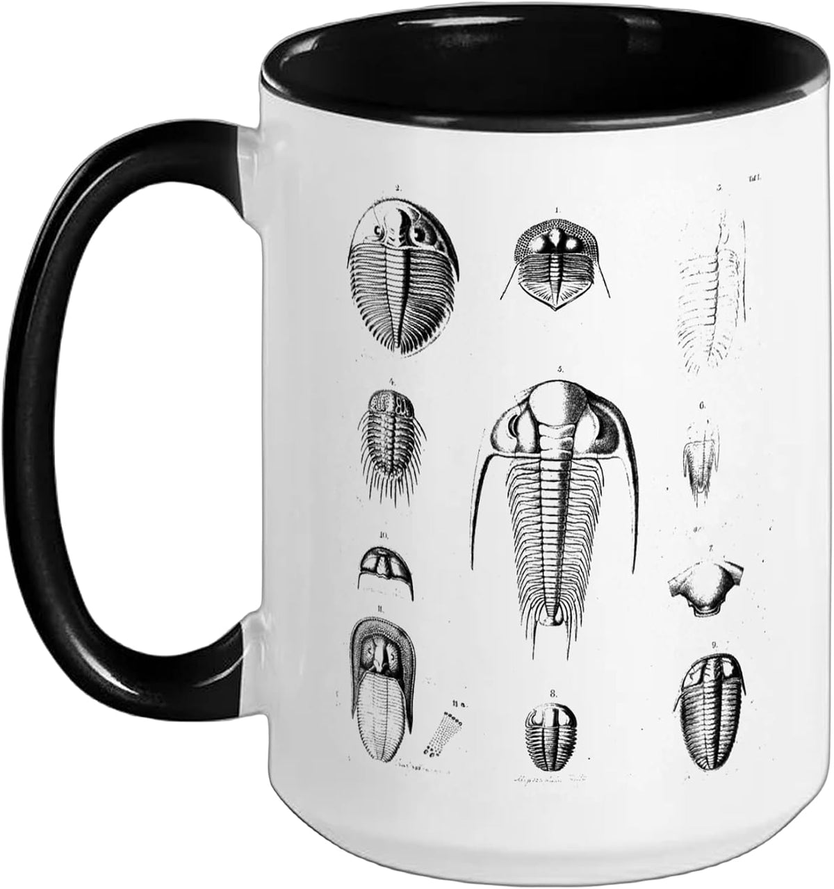 Trilobite Fossil Geology Teacher Student Geologist Ceramic Mug