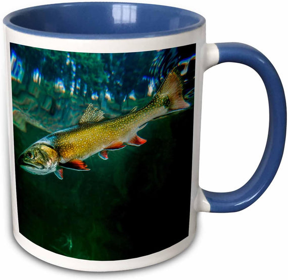 Lake Trout Swimming Near Surface Of Emerald Ceramic Mug