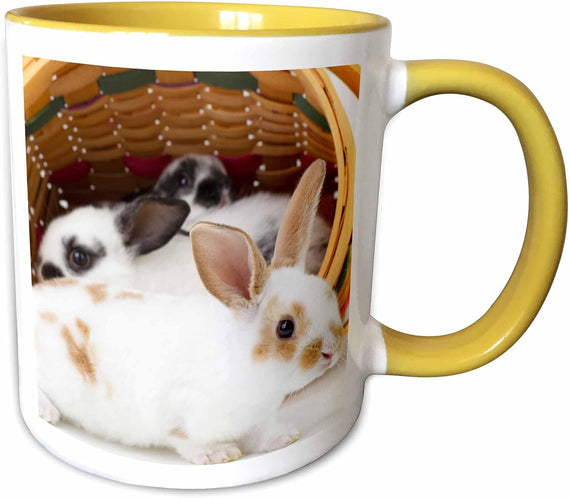 Rabbits In Easter Basket. Ceramic Mug