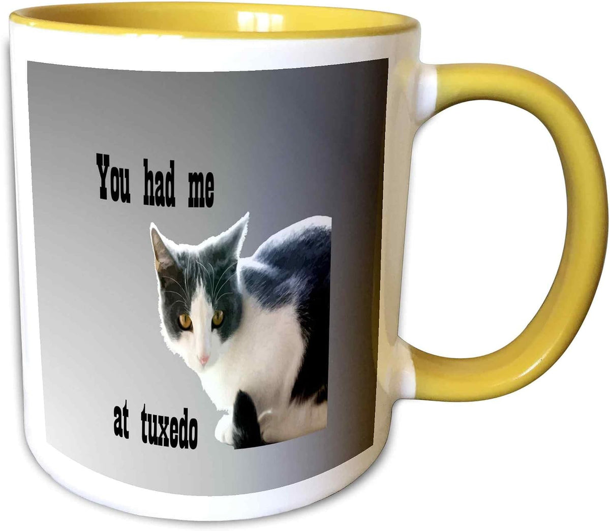 You Had Me At Tuxedo Grey & White Cat Ceramic Mug