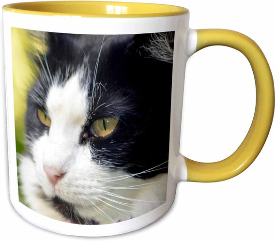 Profile Of Black And White Cat Ceramic Mug