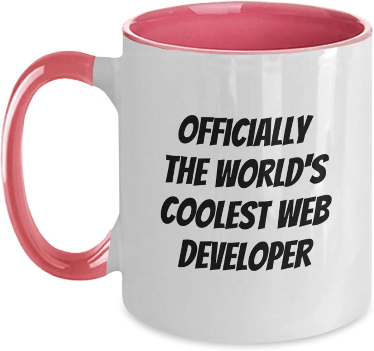 Funny Web Developer Birthday Ceramic Mug