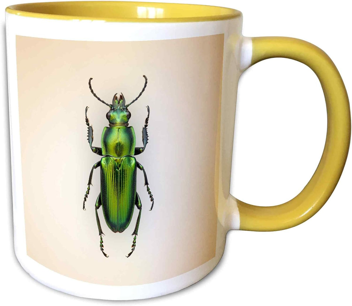 Emerald Jewel Beetle Vintage Scientific Art Ceramic Mug