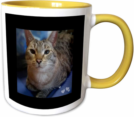 Cute Grey & White Tabby Cat Lovers Closeup Ceramic Mug