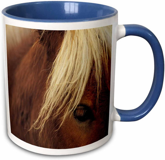 Horse Pretty White Mane Tdswhite Ceramic Mug