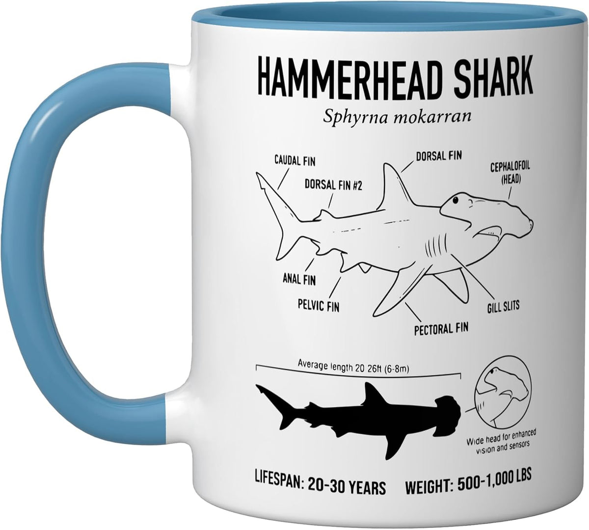 Hammerhead Shark Anatomy Ceramic Mug