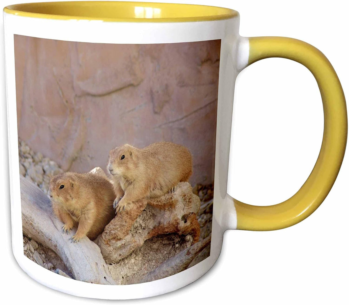 Groundhog Day Ceramic Mug