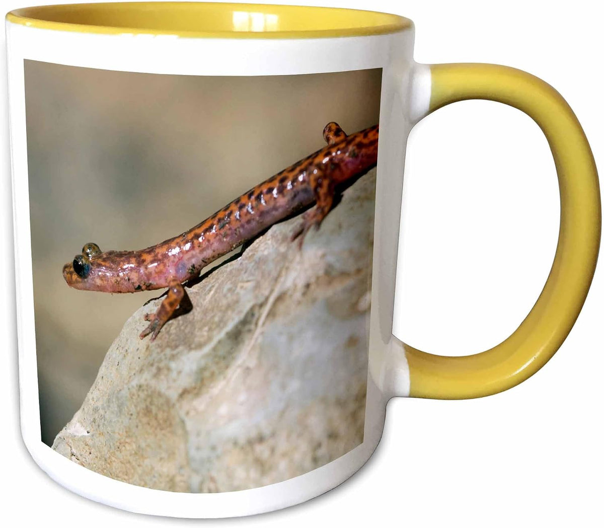 Cave Salamander Lizard, Indian Rockhouse Ceramic Mug