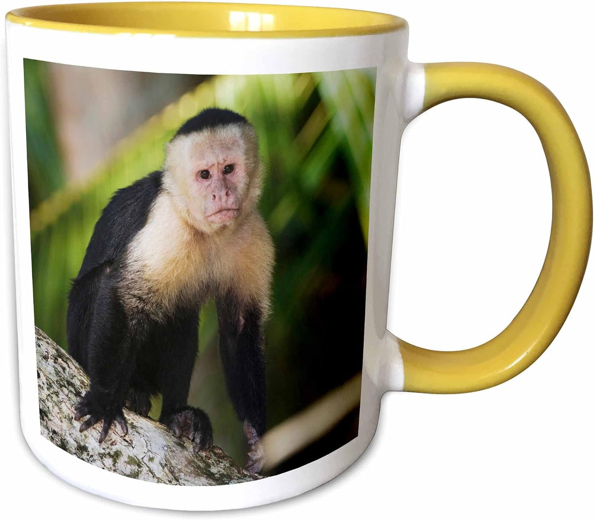 White-Faced Capuchin Monkey, Costa Rica Ceramic Mug