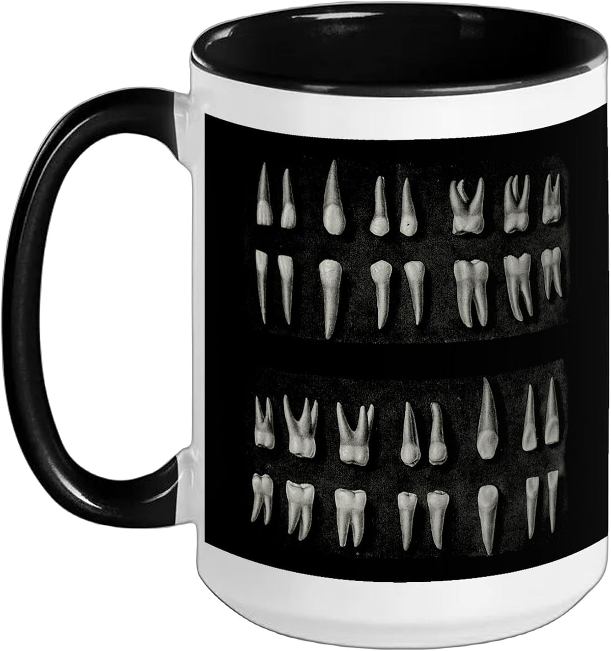 Human Teeth Dental Vintage Anatomy Retro Dentistry Ceramic Mug