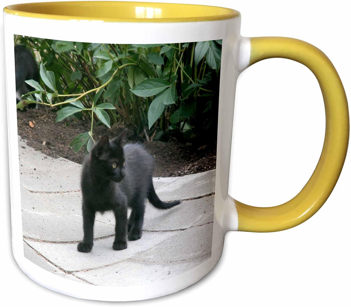 Black Kitten On A Prowl Cat Ceramic Mug
