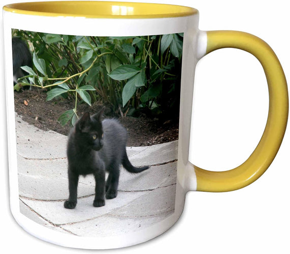 Black Kitten On A Prowl Cat Ceramic Mug