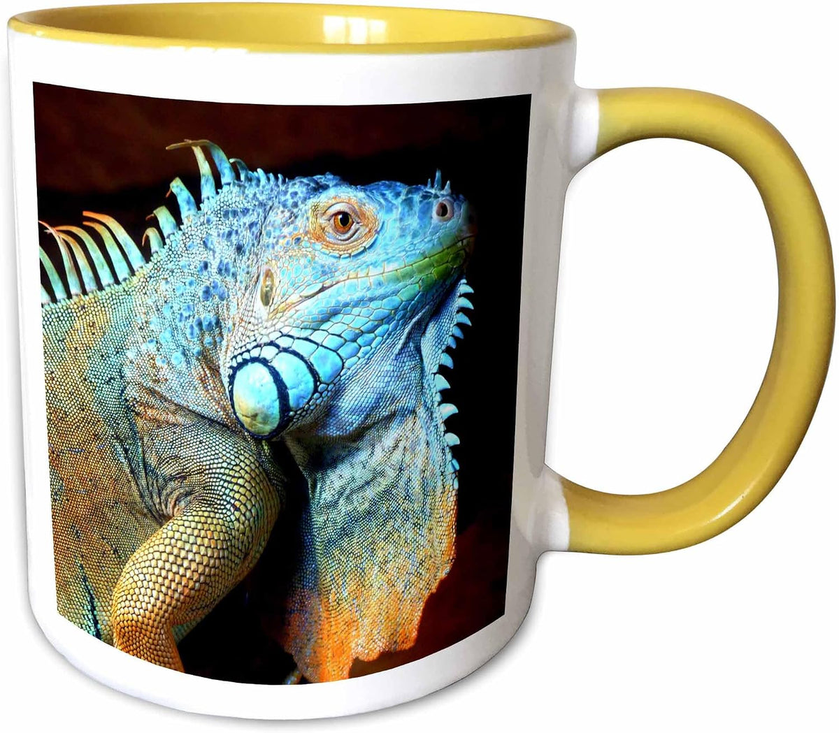 Exotic Colorful Reptile Animal Ceramic Mug