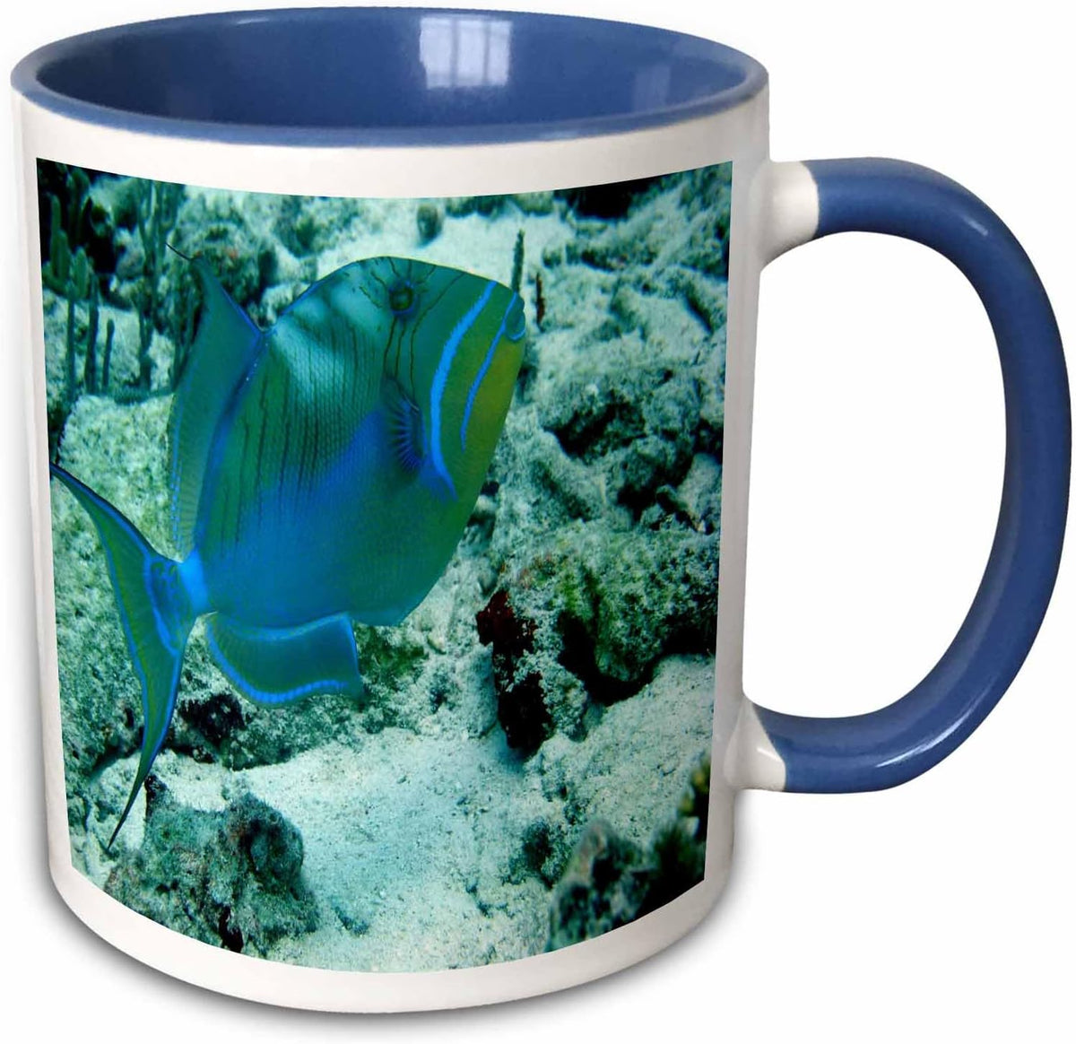Queen Triggerfish Ceramic Mug
