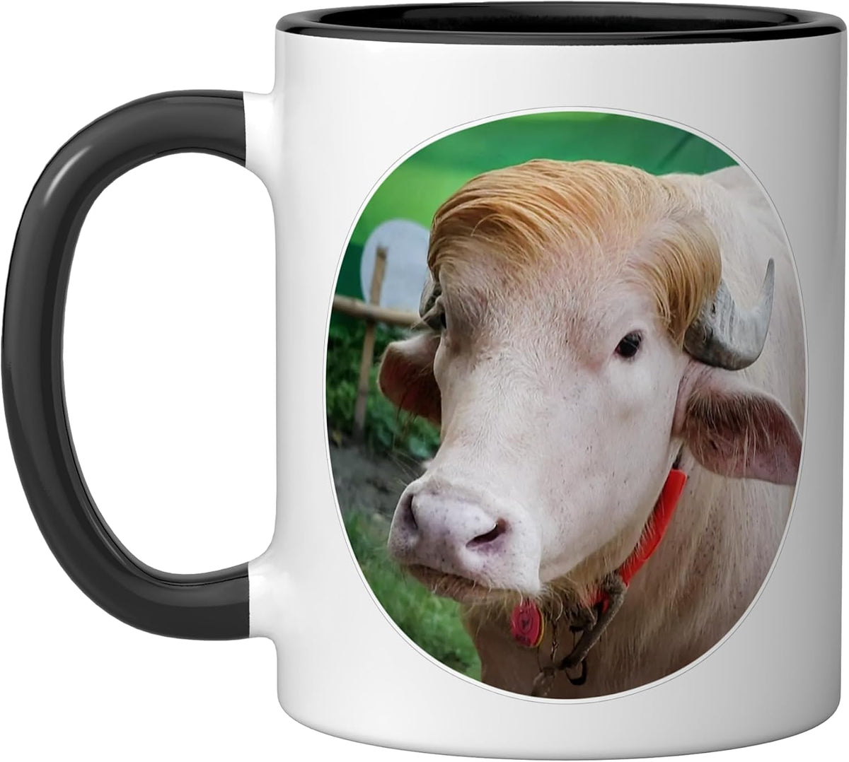Rare Albino Buffalo Photo Wildlife Animal Ceramic Mug