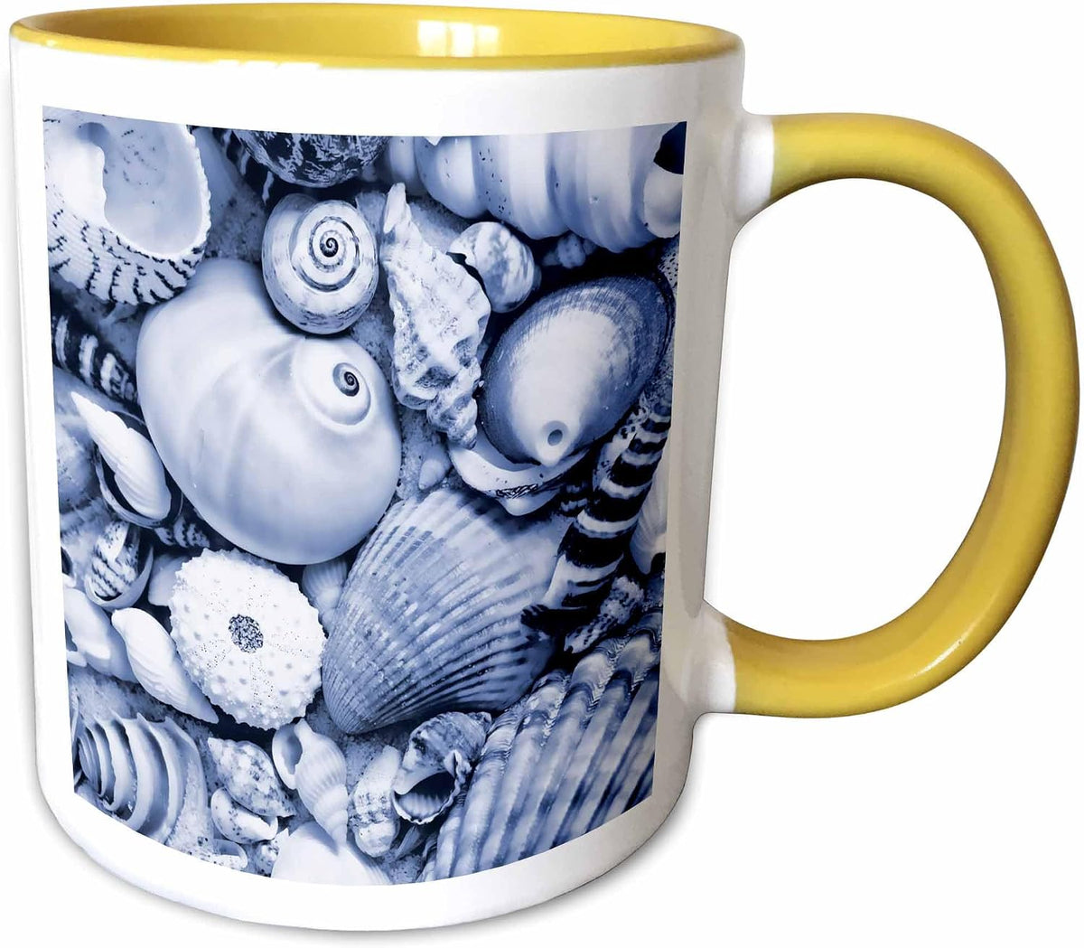 Shell Collection Tinted In Blue Color Ceramic Mug