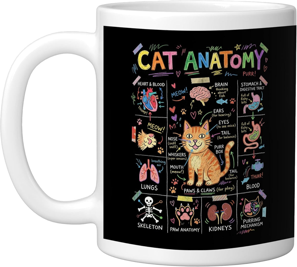 Cute Funny Cat Anatomy Chart Feline Biology Diagram Ceramic Mug