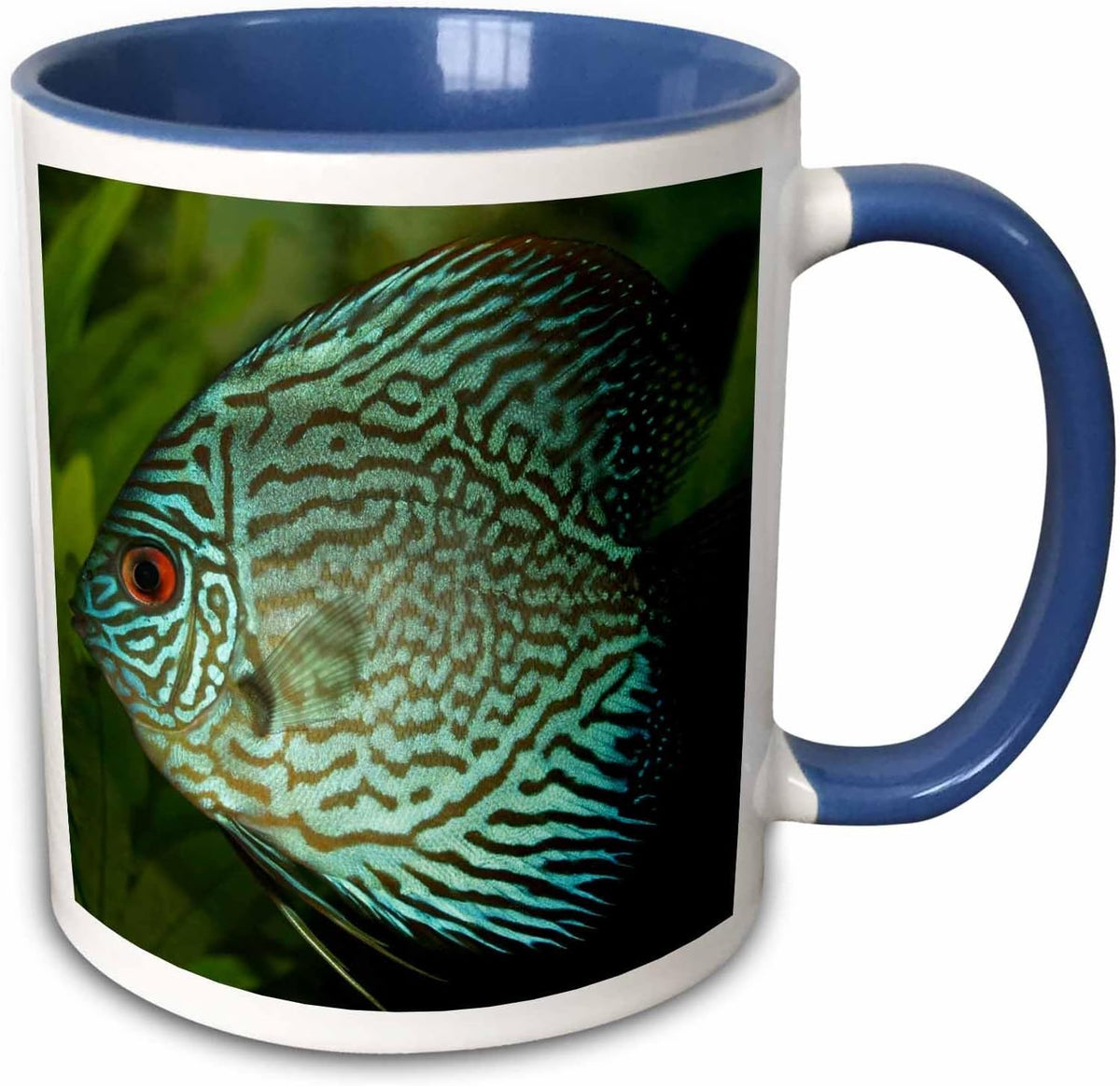 Blue Exotic Discus Fish Ceramic Mug