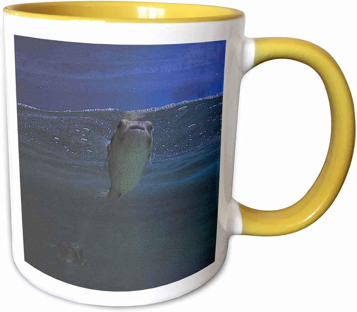 Fish In The Sea Ceramic Mug