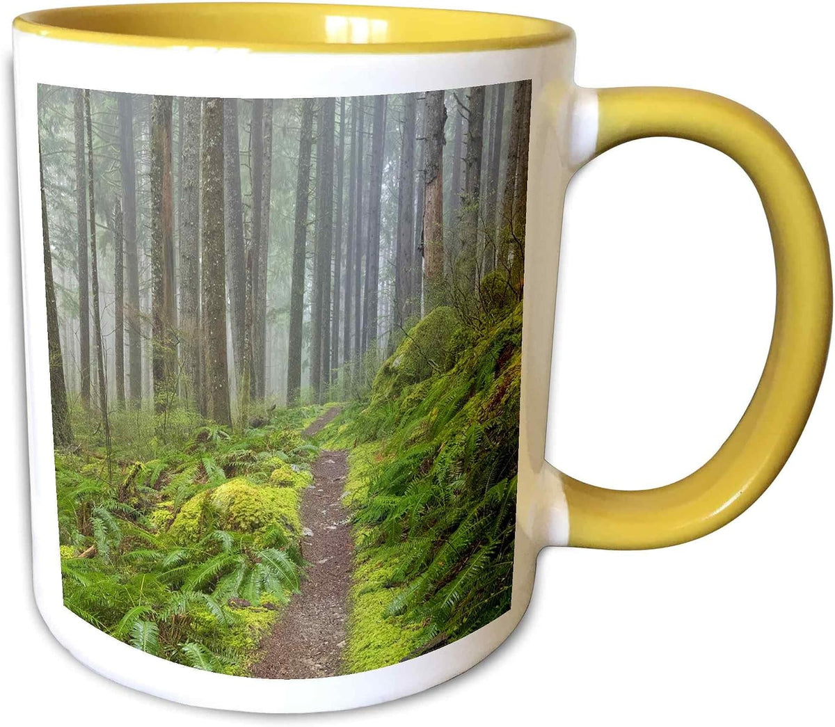 Hiking Trail In Mount Ceramic Mug