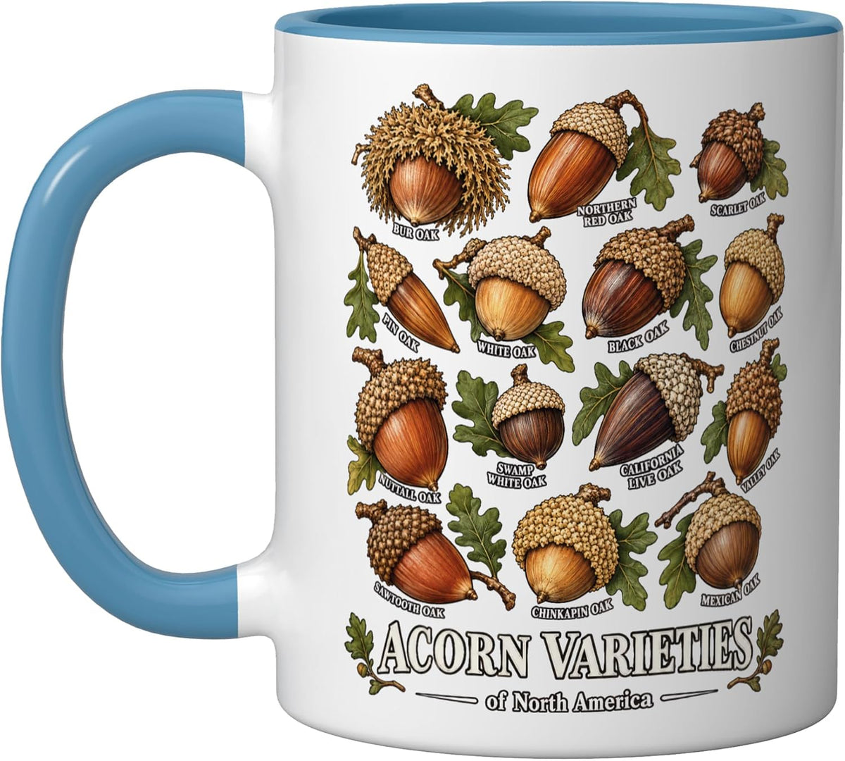 Acorn Varieties Of North America Oak Species Reference Ceramic Mug