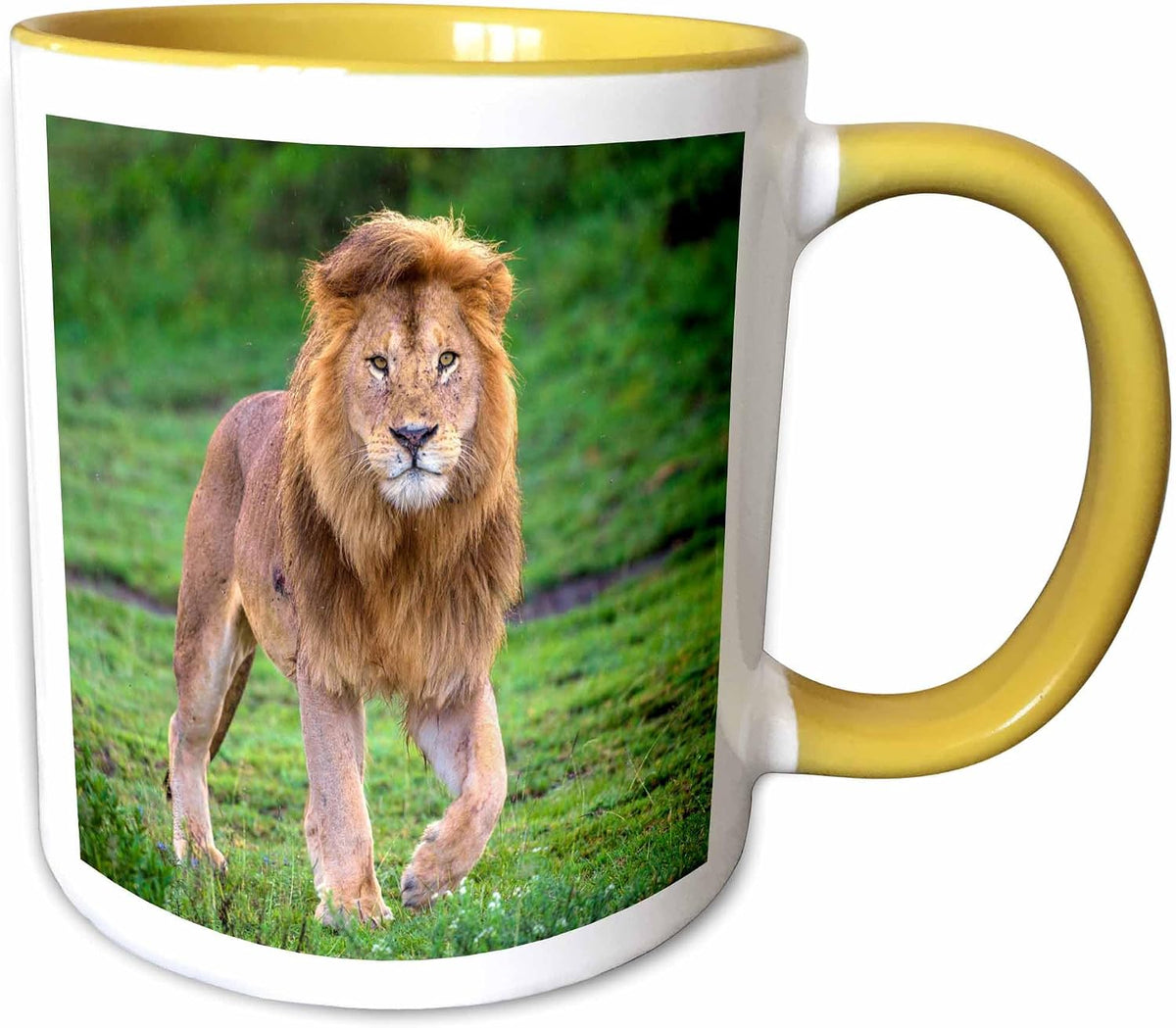 Africa. Tanzania. Male African Lion Ceramic Mug