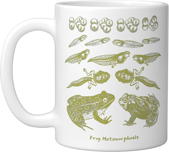 Frog Tadpole Life Cycle Biology Teacher Vintage Science Ceramic Mug