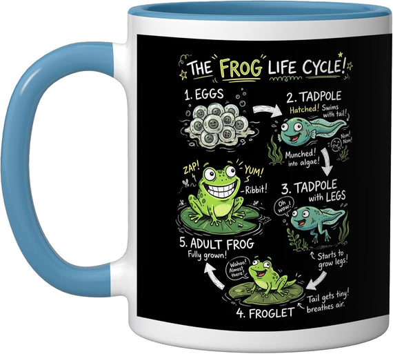 The Frog Life Cycle Amphibian Science Ceramic Mug