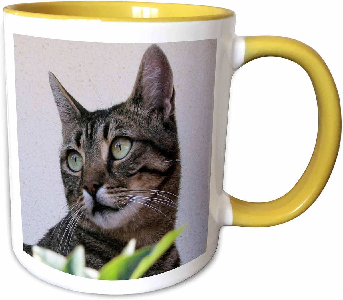 Cat Tabby Cat Ceramic Mug