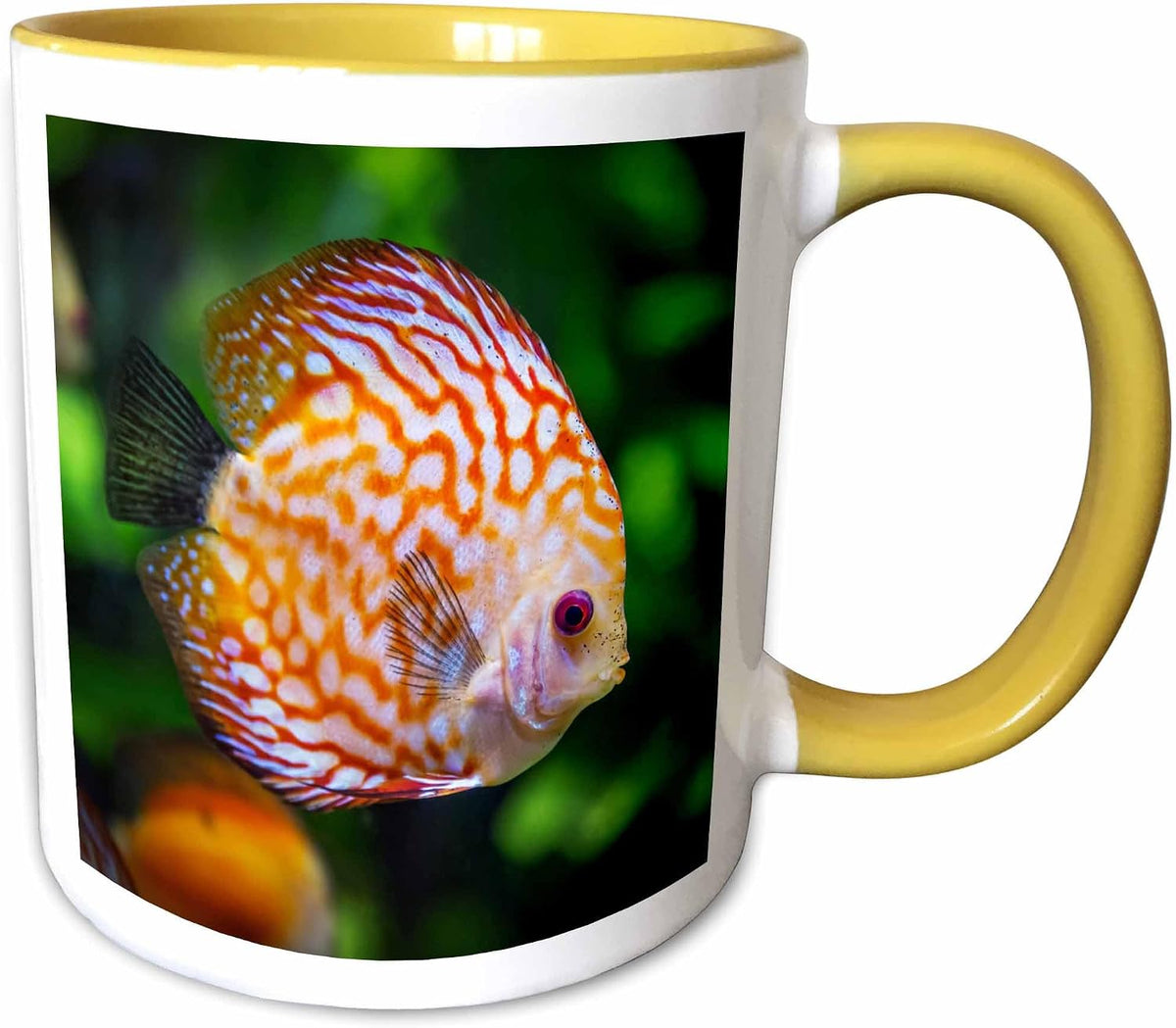 Colorful Discus Fish Swimming Ceramic Mug