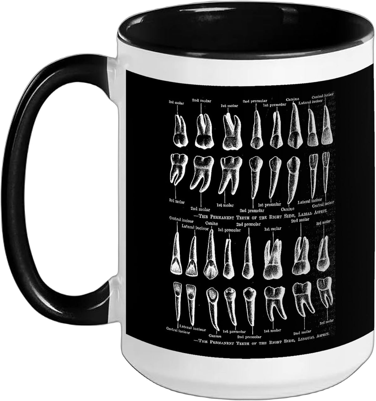 Human Teeth Dental Vintage Anatomy Retro Dentistry Ceramic Mug