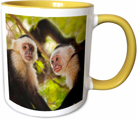 White Faced Monkeys, Fantasy Island Ceramic Mug