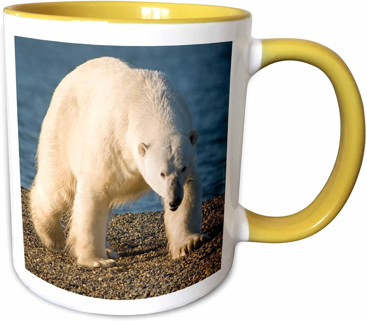 Usa, Alaska, Barter Island. Polar Bear Boar Ceramic Mug